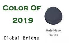 Color of 2019---Hale Navy
